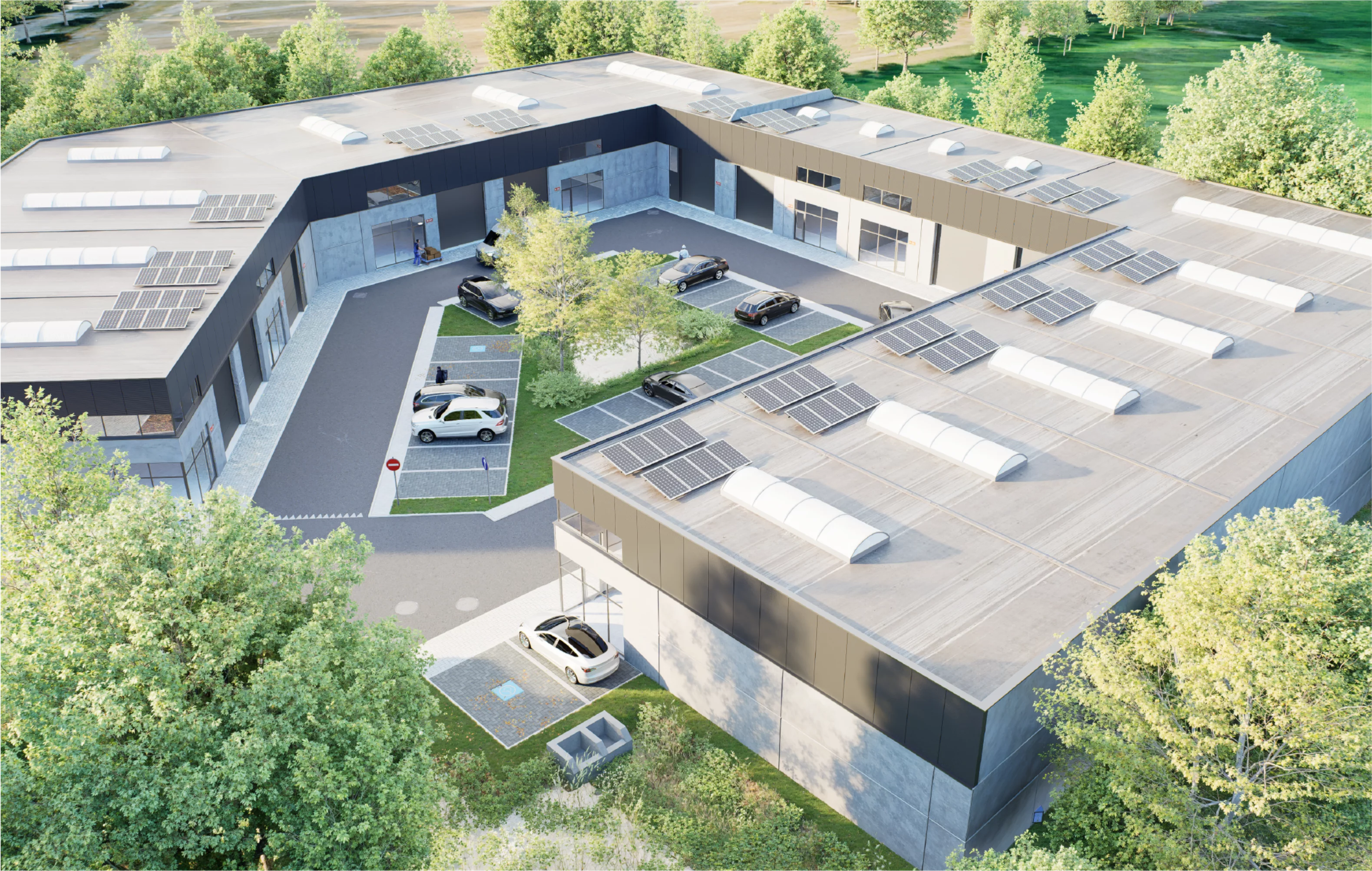 BEELD 03 m