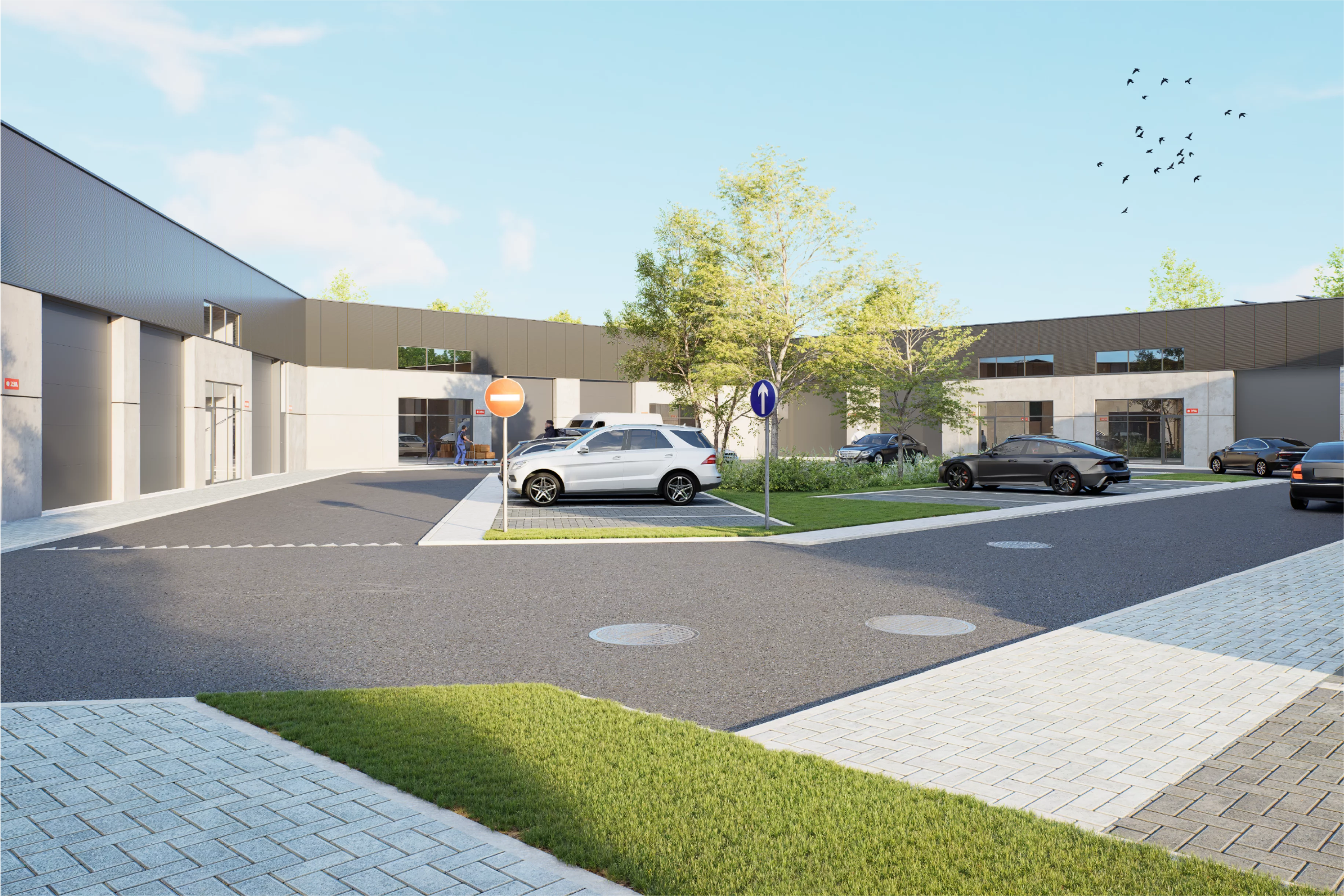 BEELD 06 m
